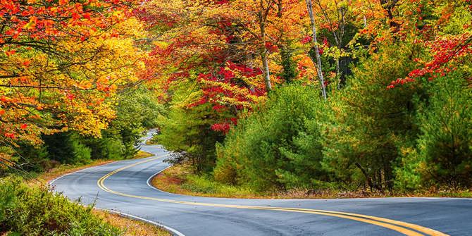 Fall Foliage Drive & Stay Guide In NY’s Allegheny Mountain Range